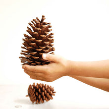 4pcs Christmas Tree Pine Cones Pinecone Xmas New Year Holiday Party Decoration Ornament For Home Parties Supplies Pine Cones
