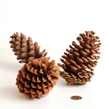 4pcs Christmas Tree Pine Cones Pinecone Xmas New Year Holiday Party Decoration Ornament For Home Parties Supplies Pine Cones