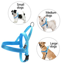 No Pull Reflective Dog Leash Harness Set Pet Leash Vest For Small Meduim Large Dogs Perfect for Daily Training Walking XXS-L