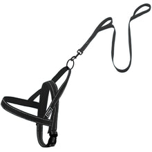 No Pull Reflective Dog Leash Harness Set Pet Leash Vest For Small Meduim Large Dogs Perfect for Daily Training Walking XXS-L