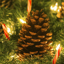 4pcs Christmas Tree Pine Cones Pinecone Xmas New Year Holiday Party Decoration Ornament For Home Parties Supplies Pine Cones
